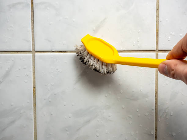 Ship Bottom, NJ Mold Removal Company