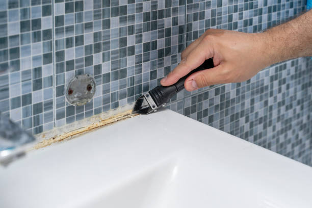 Best Mold Testing  in Ship Bottom, NJ