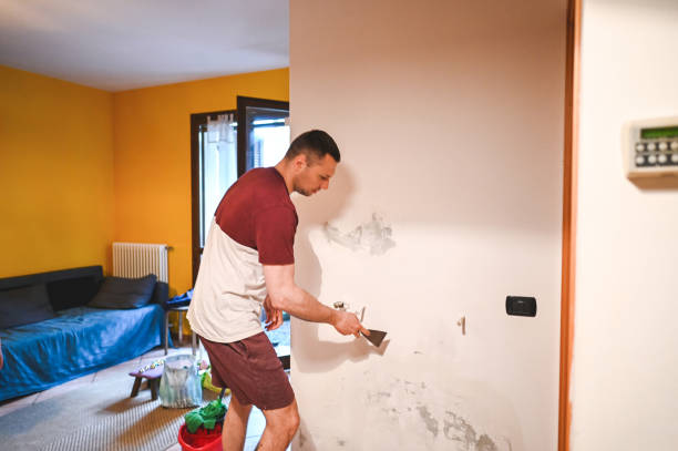 Best Mold Damage Repair  in Ship Bottom, NJ